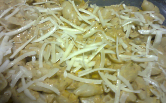 Macarronada de atum com creme de leite