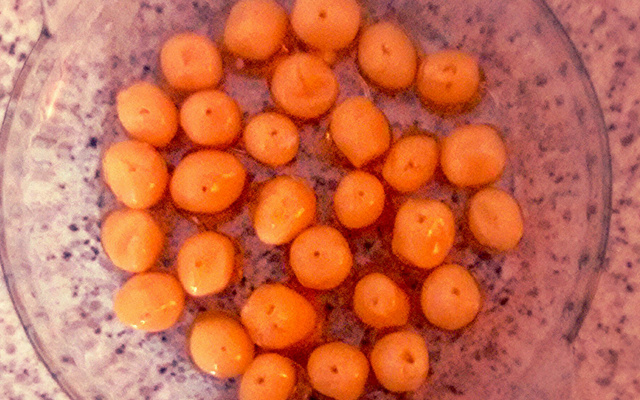 Bala de coco caramelizada (caramelada)