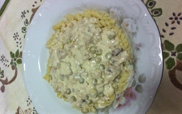 Macarrão com atum ao molho branco e queijo mussarela