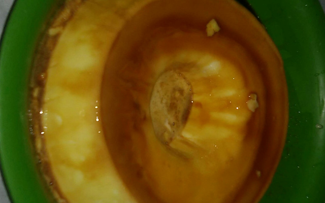 Pudim que não vai ao fogo, fácil, rápido e delicioso