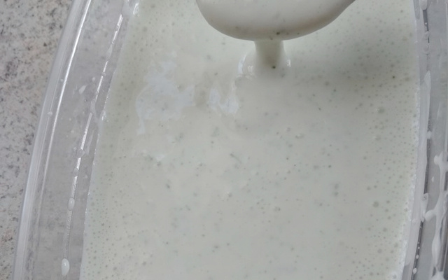 Maionese sem ovo da Gabi