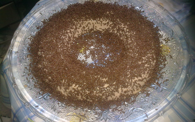 Pudim de Brigadeiro