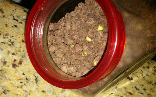 Amendoim com chocolate