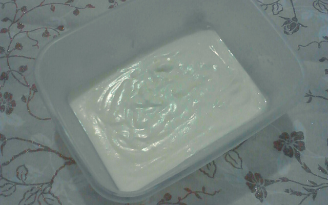 Maionese de leite light