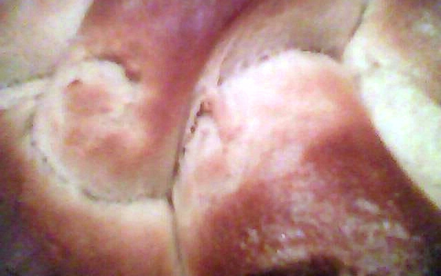 Pão caseiro facílimo