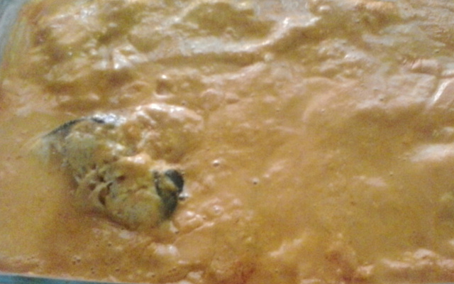 Peixe pintado ao requeijão