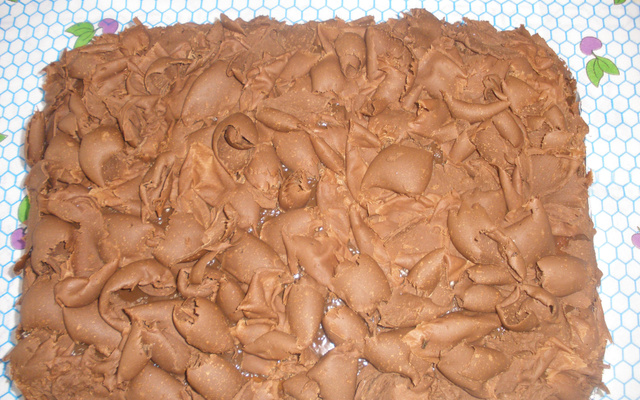 Bolo de aniversário da Regina (com raspas de chocolate)