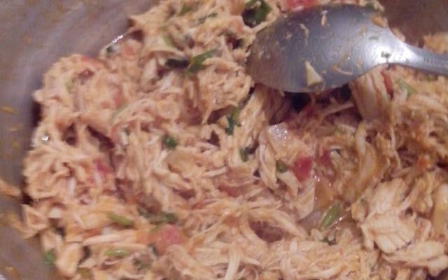 Frango desfiado bem temperado rápido, fácil e gostoso