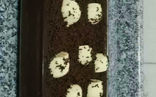 Pavê de creme de avelã e bombom