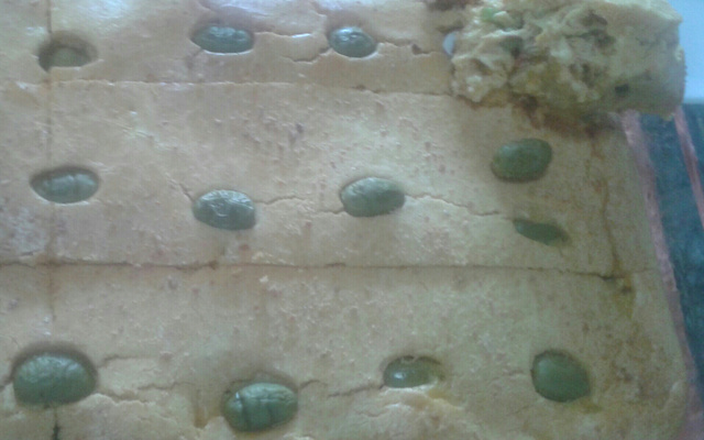 Massa rápida de torta salgada de liquidificador