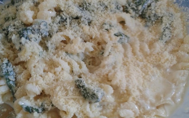 Macarrão com espinafre