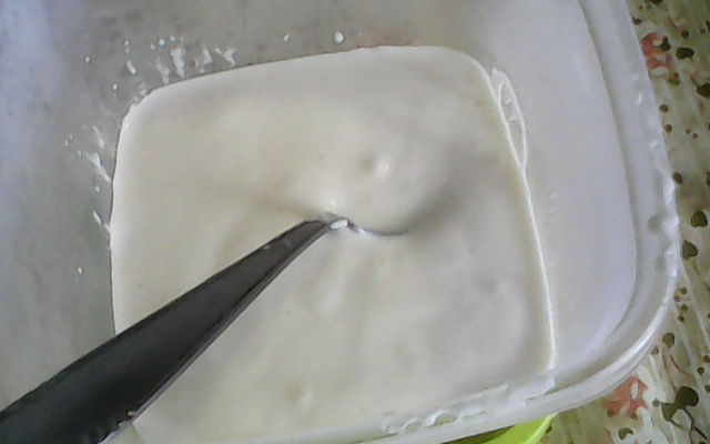 Maionese caseira de leite da Micheli !