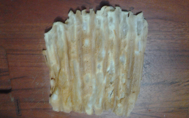 Biscoito chapinha no grill