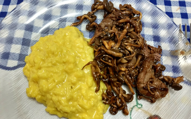 Risoto de limão com medalhão de filé mignon e shimeji