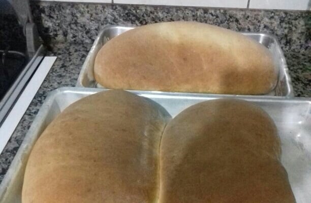 Pão de mandioquinha da vovó Bete