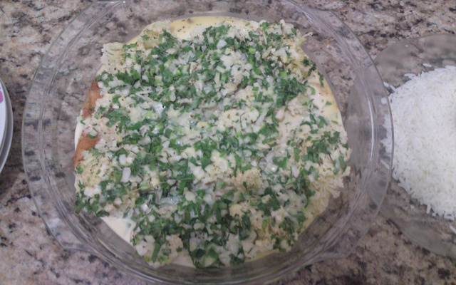 Filé de frango com couve flor ao forno