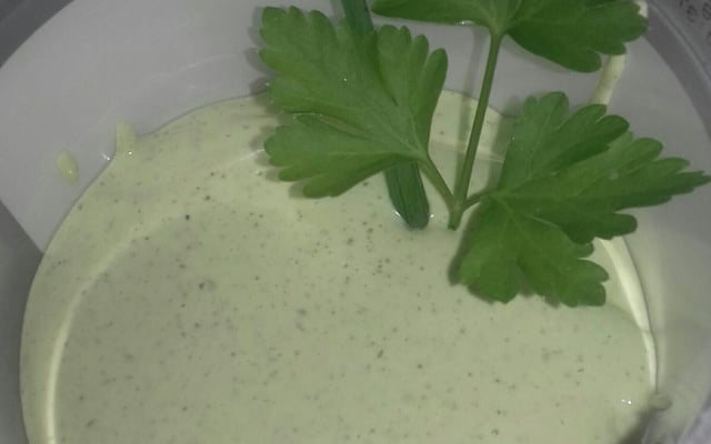 Maionese temperada de lanchonete