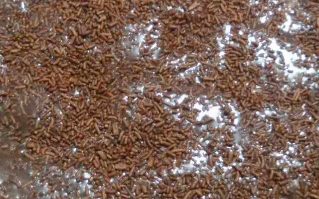 Pavê de chocolate preto e chocolate branco