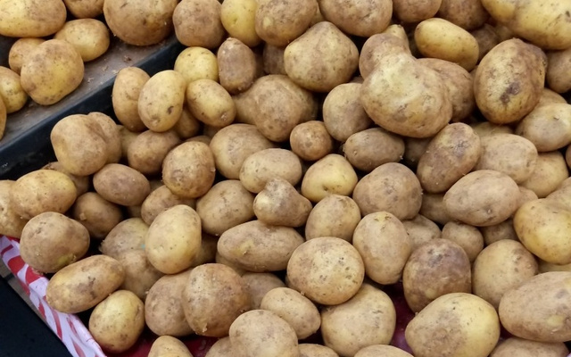 Sopa cremosa de batata