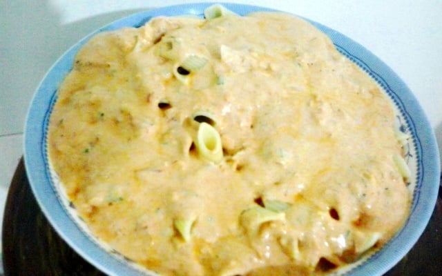 Penne ao molho de tomate e creme de leite