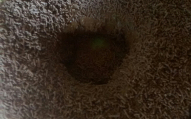 Brigadeirão de leite de coco