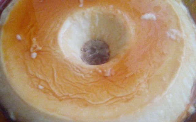 Pudim de leite (que não vai ao forno)