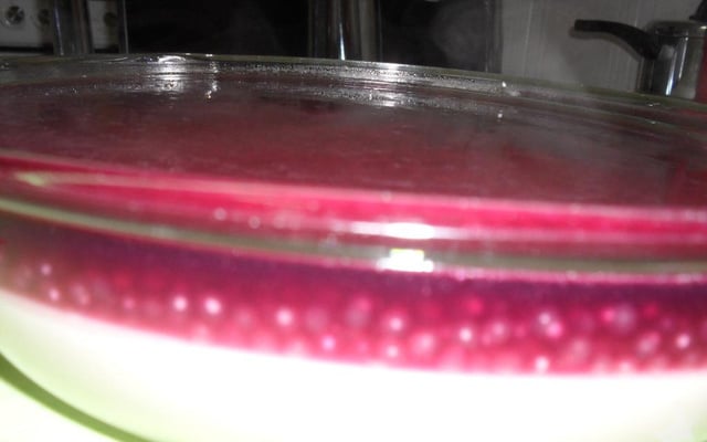 Sagu com creme maravilhoso