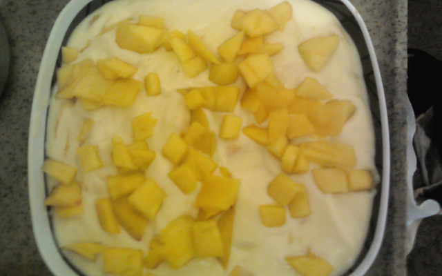 Manga ao creme da Bárbara