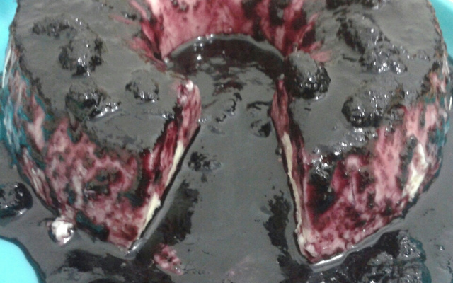 Manjar com calda de amora