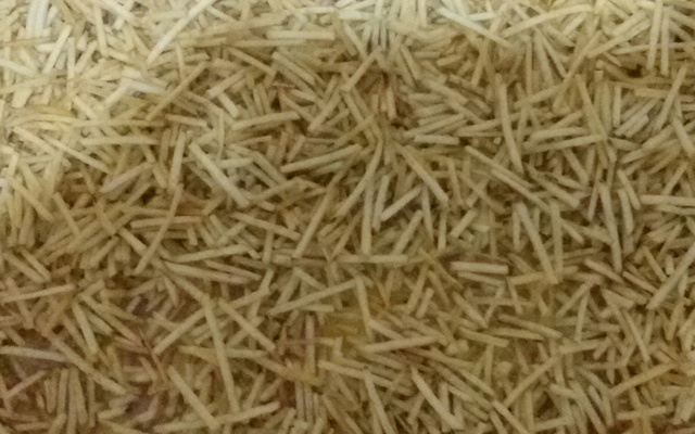 Fricassê de carne moída