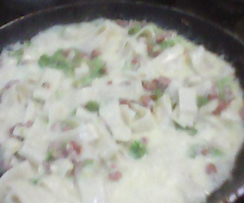 Macarrão anelli ao brócolis