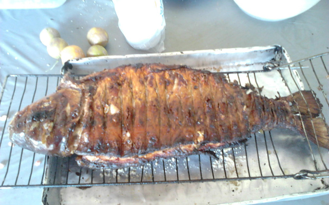 Piauçu a Pantaneira