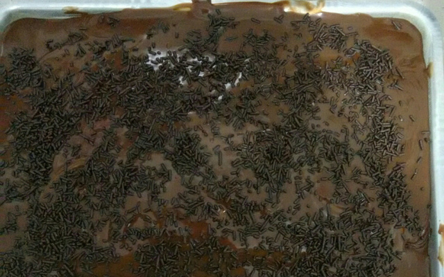 Cobertura de chocolate cremosa