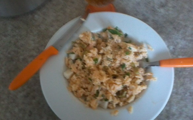 Risoto de camarão cremoso