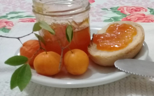 Geleia  de Uvaia da Vó Helena 