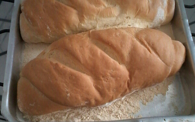 Pão Francês