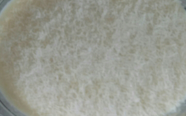 Cuscuz da Tati Pereira