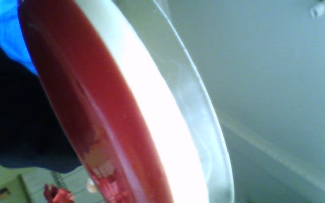 Gelatina com creme