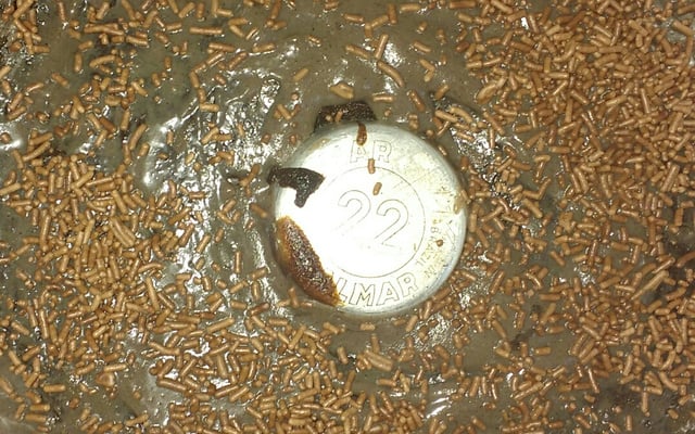 Bolo de chocolate tipo brownie