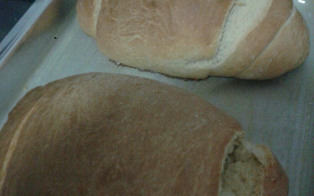 Pão de liquidificador