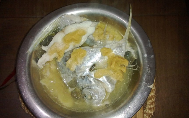 Peixe gordinho rapidinho