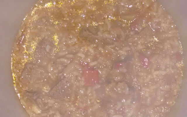 Canja de galinha rápida