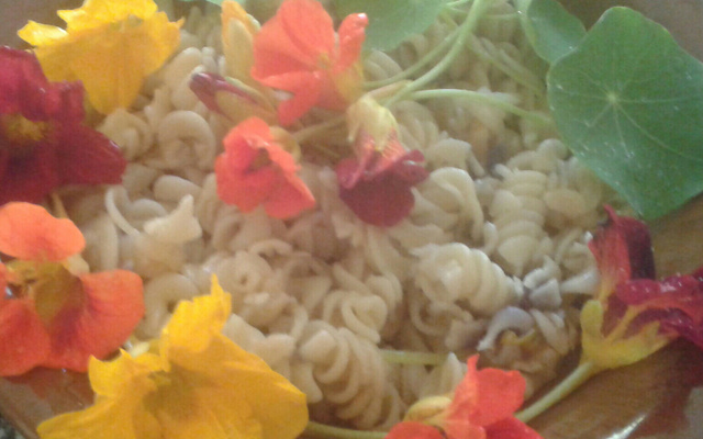 Macarrão com capuchinha