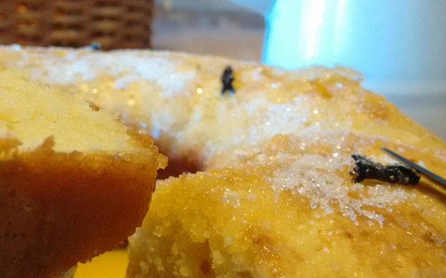 Bolo de laranja molhadinho