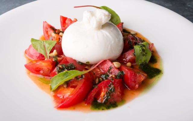 Burrata com tomate e manjericão