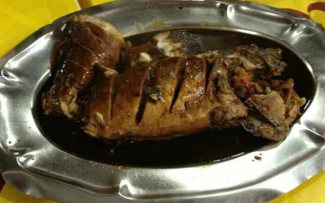 Peixe no saco do tootontin