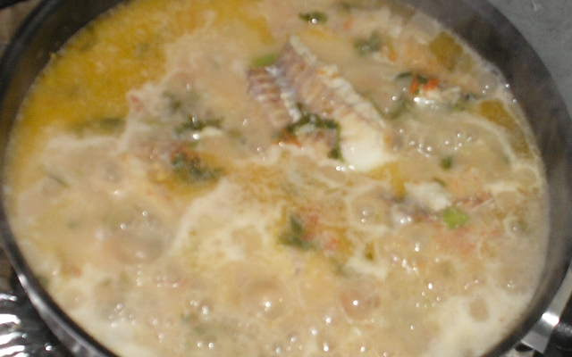 Merluza ao leite de coco