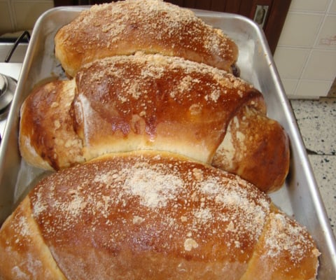 Cuca recheada Silene Bergmann