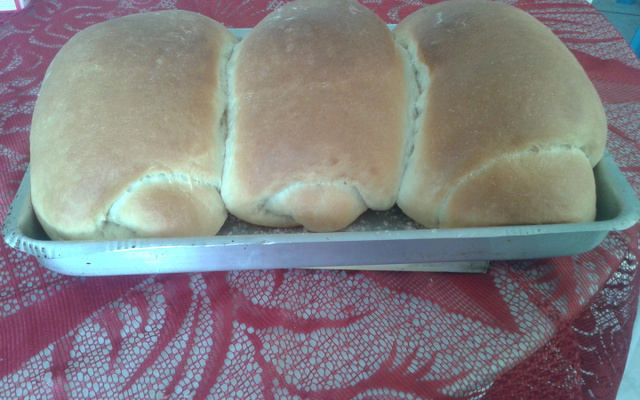 Pão de leite caseiro