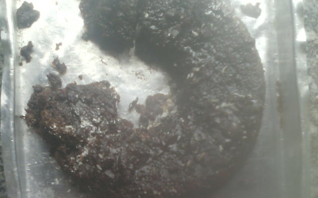 Bolo de chocolate sem farinha de trigo